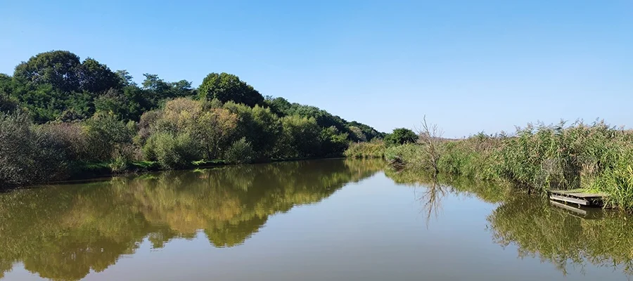 Lac Șutu