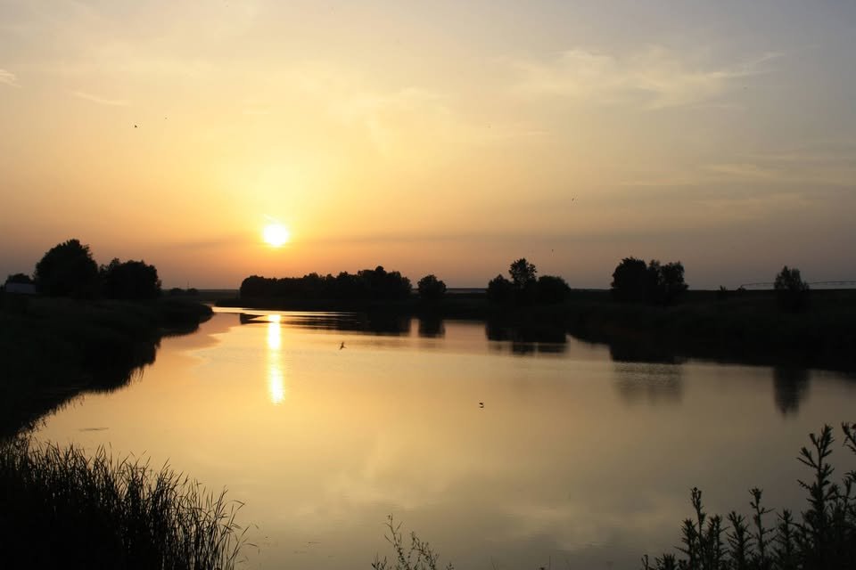 Balta Rojiștea (Zimnicea)