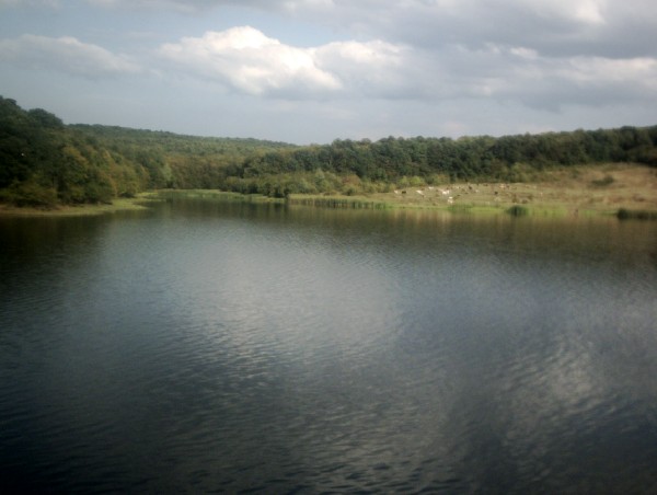 Lacul de la Șauaieu