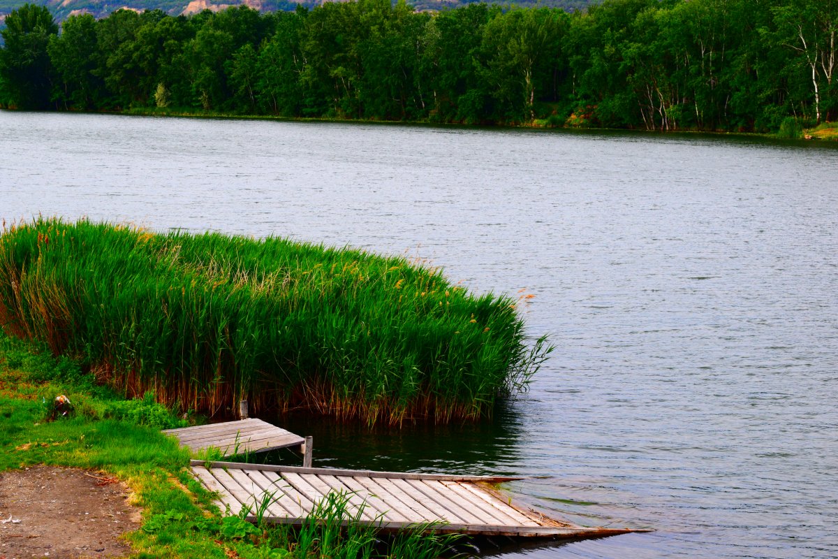 Balta Pădureni Sud (Vrancea)