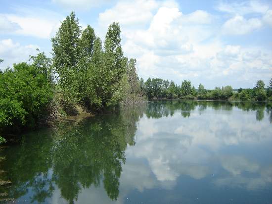 Balta Pescărușu (Lugoj)