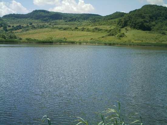 Lacul Uilac (Albești)