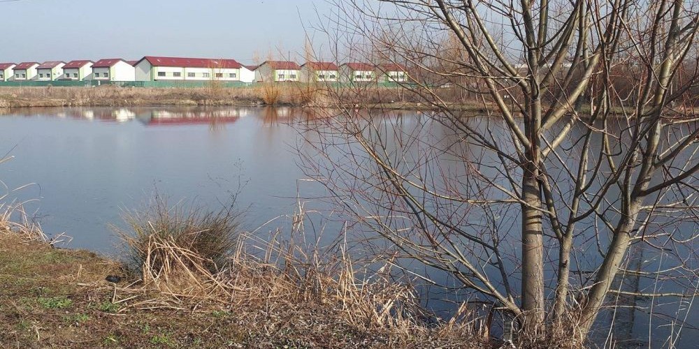 Balta Vitan 3