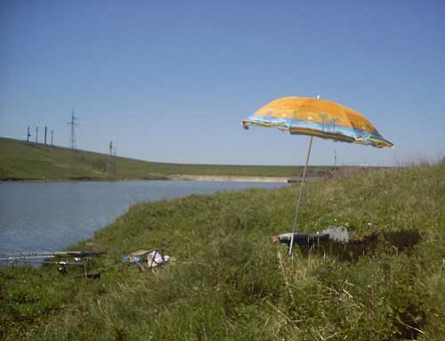 Balta Gurbănești
