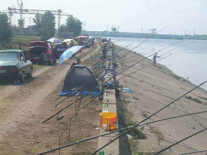 Balta Gruia (Mehedinți)