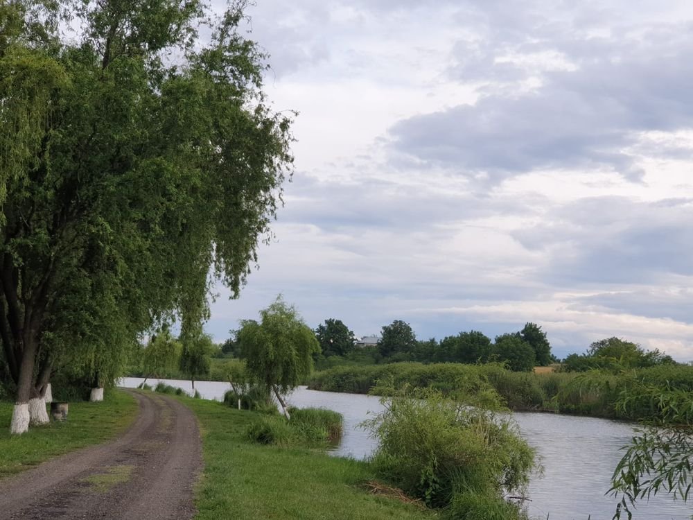 Balta Creața 1