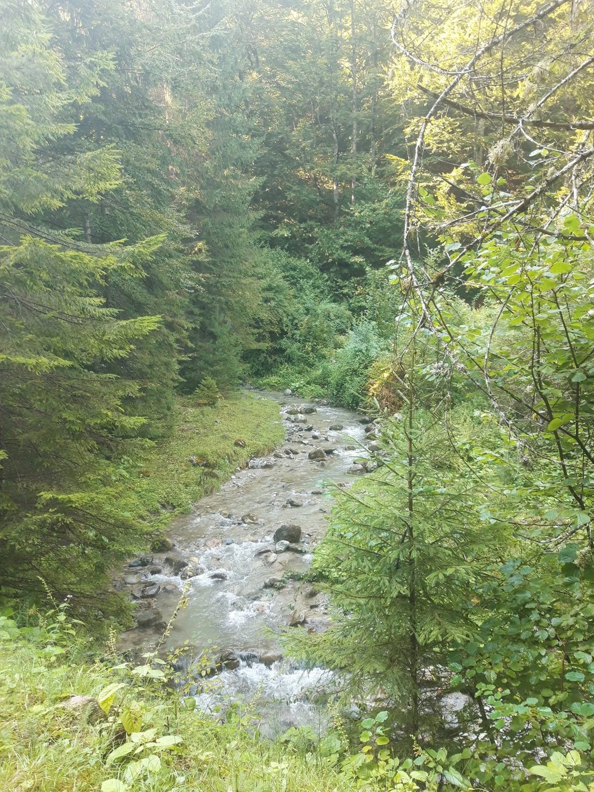 Râul Rudăreasa