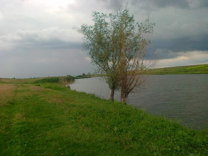 Balta Iaz Călmățui 3 (Liești)