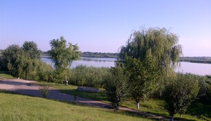 Balta Luica