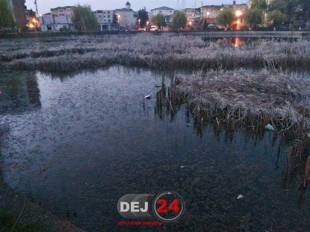 Balta Dej