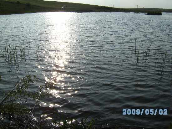 Balta OCL Alexandria – bazinul de feeder