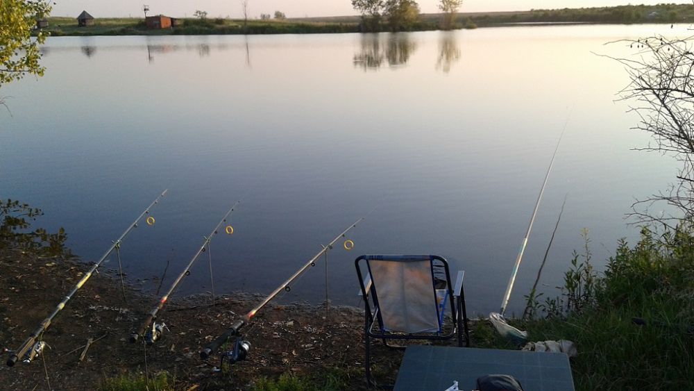 Balta La Firel (Lacul Popii)