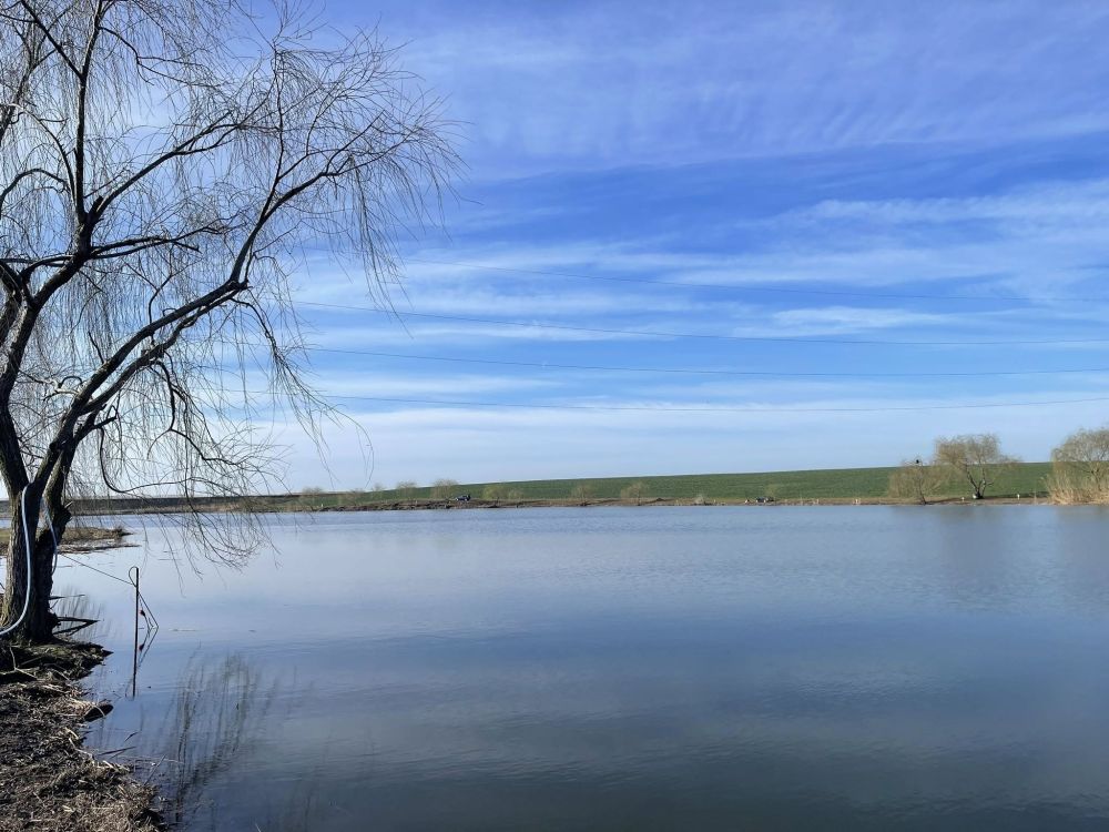 Balta Movilița Vie