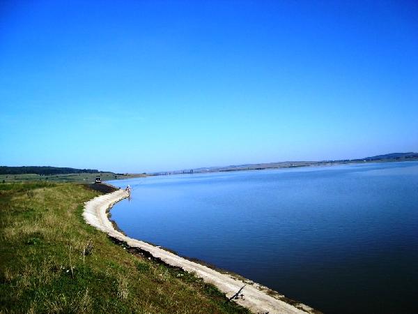 Lacul Rogojești (Suceava)