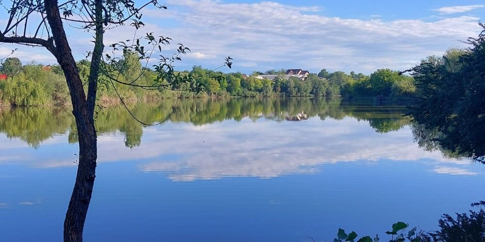 Balta Maia 4
