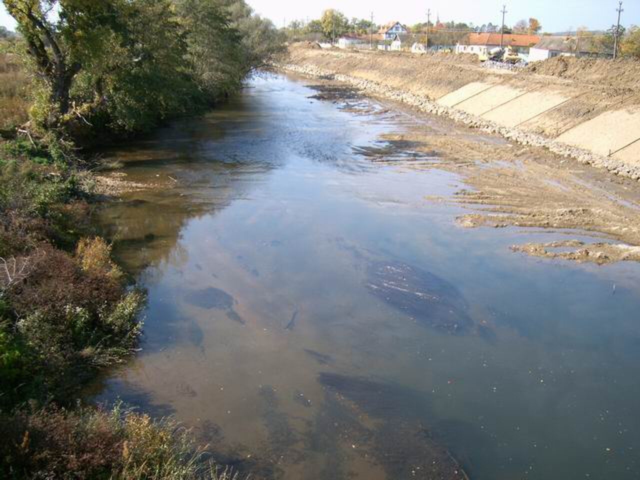 Bega - Cutina