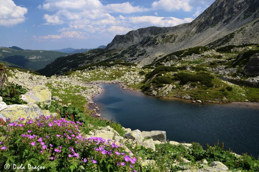 Lacul Viorica (Retezat)
