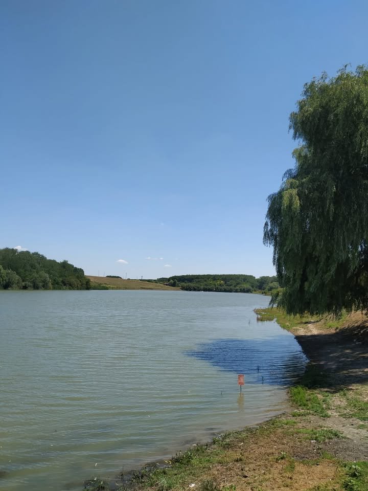 Balta "La Sache" (fosta Drăgoești Sat / Drăgoești 1)