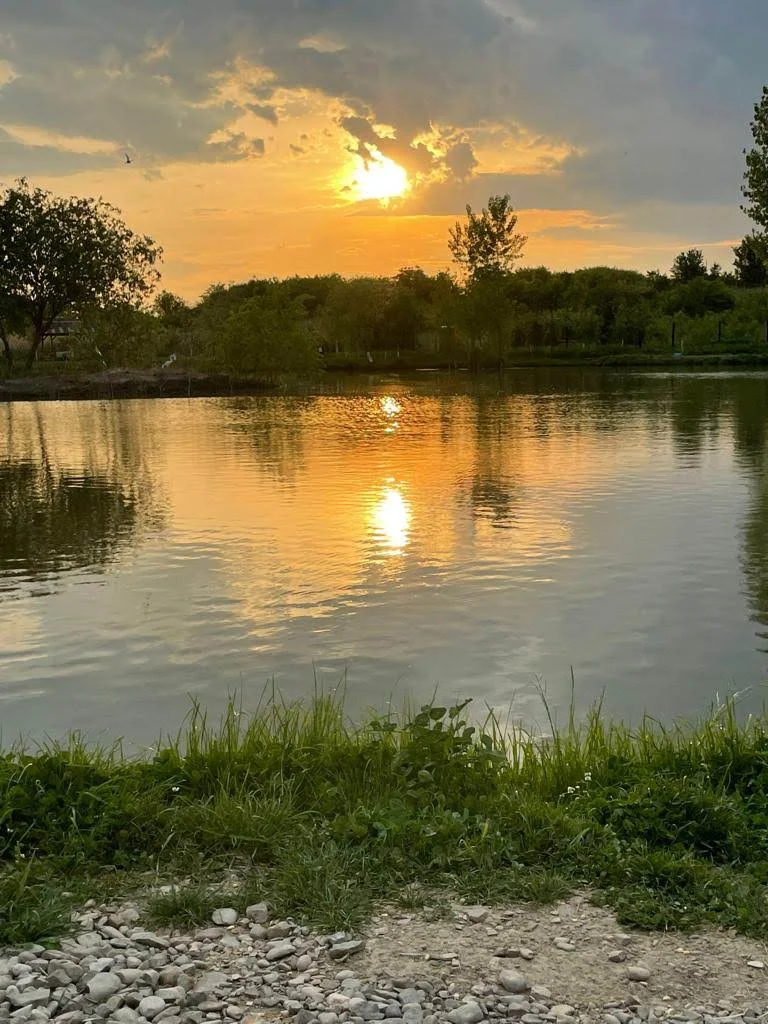 Balta Delta Neajlovului (Brăniștari)