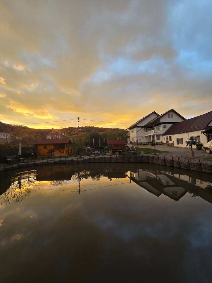 Balta Ovi (Dârlos)