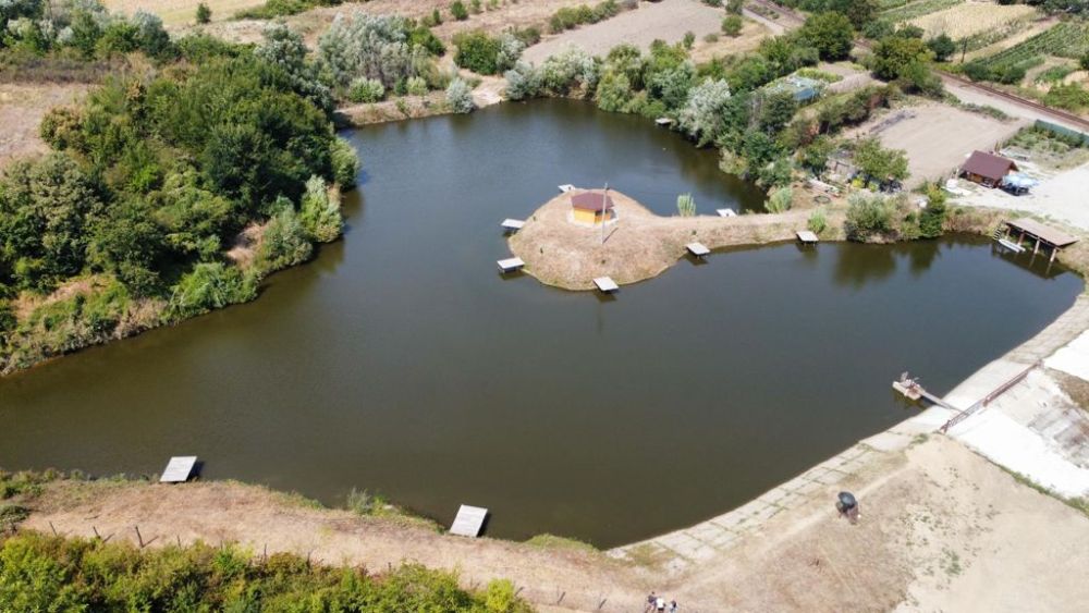 Balta Găneasa
