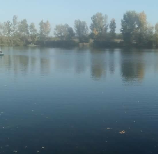 Balta Nouă Buturugeni