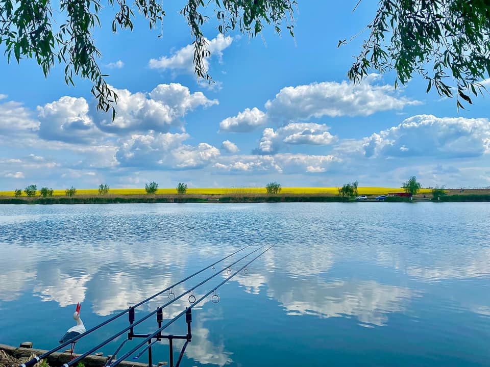Balta Plină (Movilița)