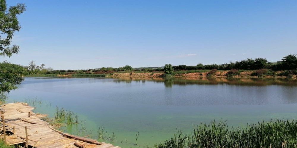 Balta Berzovia Iscip 2