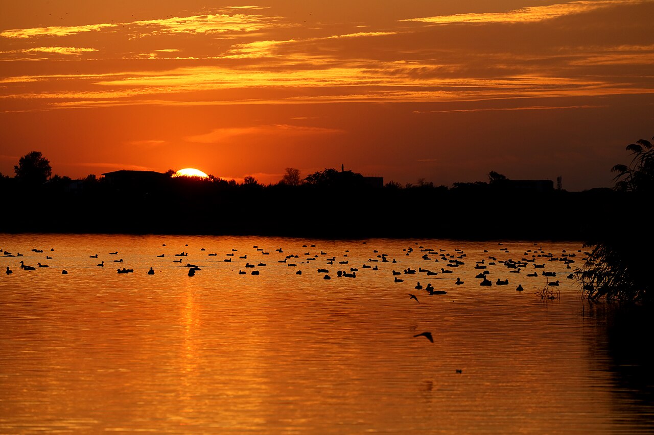 Lacul Morii