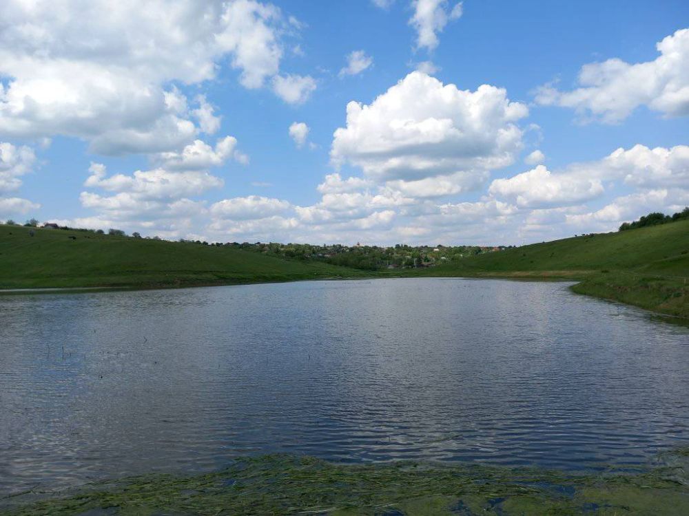 Iaz Moimești (Piscicola Lăpușneanu)